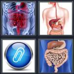 Appendix