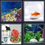 Aquarium