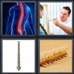 Backbone
