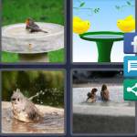 Birdbath