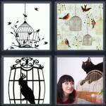 Birdcage