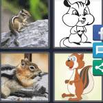 Chipmunk