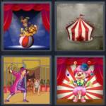 Circus