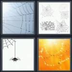 Cobweb