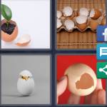 Eggshell