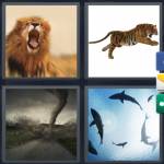 4 Pics 1 Word 9 Letter Answers