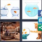 Fishbowl