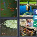 Fishpond