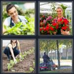 Gardener