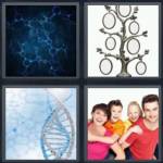 Genetics
