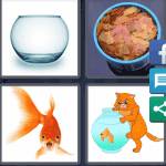 Goldfish