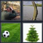 4 pics 1 word 5 letters peacock