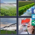 Irrigate