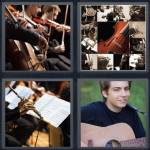 Musician