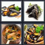 Mussels