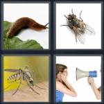 Nuisance