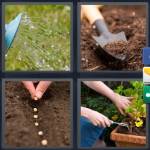 Planting