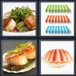 Scallop