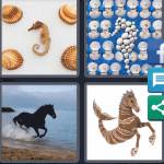 Seahorse