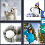 Snowball