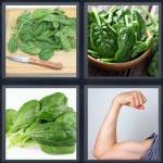 Spinach