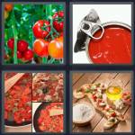 Tomatoes