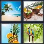 Tropical