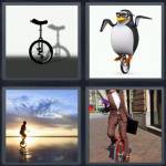 Unicycle