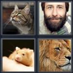 Whiskers