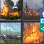 Wildfire