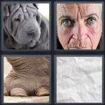 Wrinkled